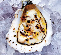 Raw oysters with lemon oil and Urfa biber