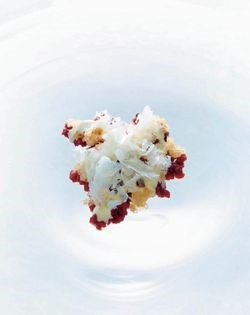 Raw smoked Blackmore wagyu, fresh dory roe, horseradish juice soured cream, milk skin