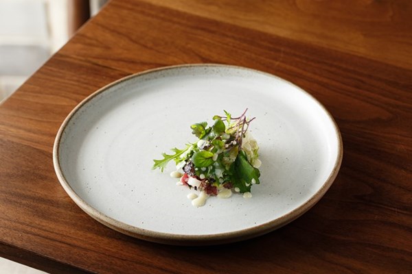 Raw venison, chimichurri, brassicas, coal dressing