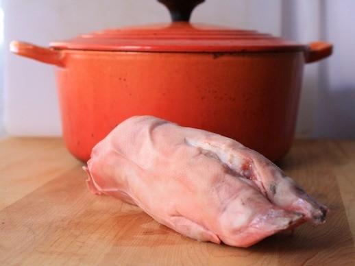 Recipe for a healthy jar of trotter gear