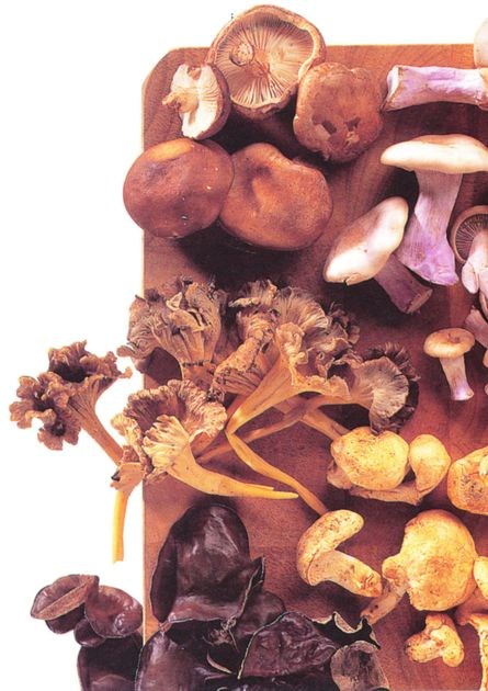 Reconstituting dried mushrooms