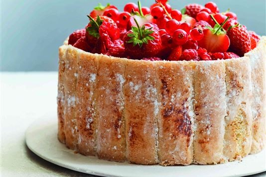 Red berry Charlotte