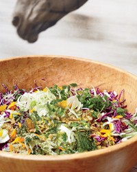 Red cabbage salad with fennel, orange and pepitas
