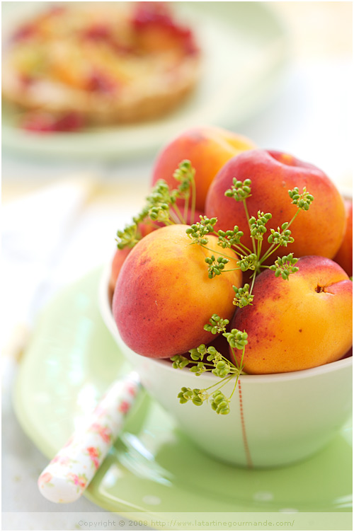 Red currant and apricot clafoutis, matcha tea and coconut milk (Clafoutis aux groseilles rouges et aux abricots)