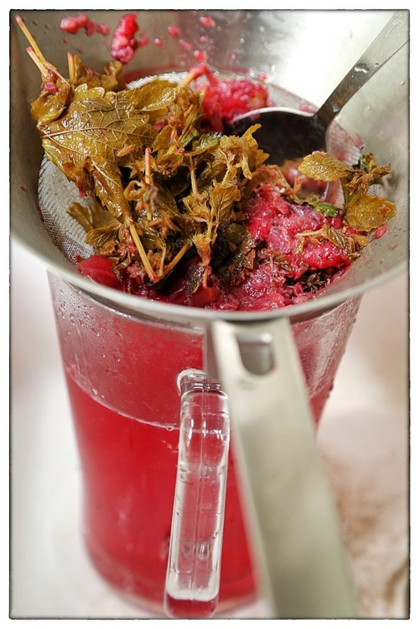 Red gooseberry and lemon balm cordial 
