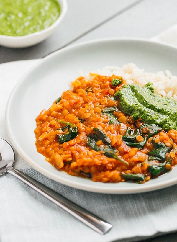 Red lentil coconut curry with cilantro chutney