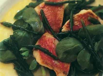 Red mullet & samphire salad with tomato vinaigrette
