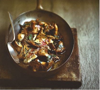 Red mullet with chanterelles