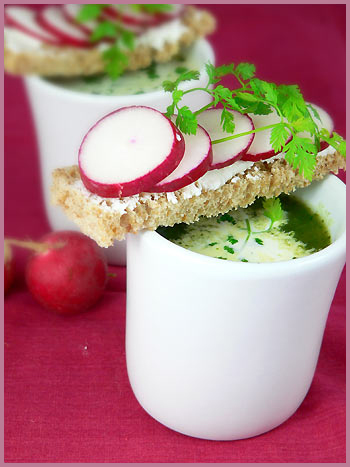 Red radish and arugula soup