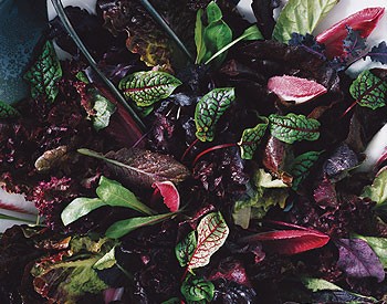 Red salad with Champagne vinaigrette