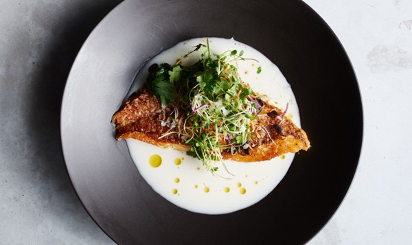 Red snapper with coconut-clam broth