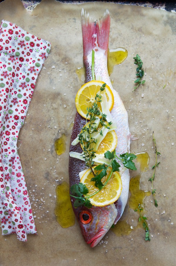 Red snapper with fennel