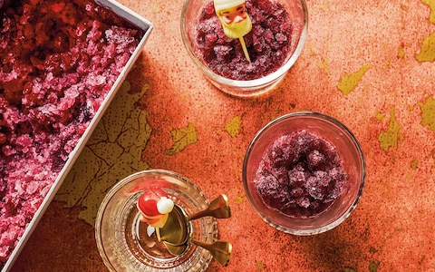 Red wine granita