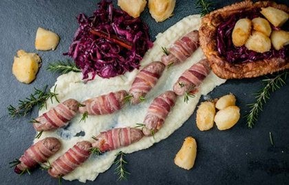 Reindeer in blankets