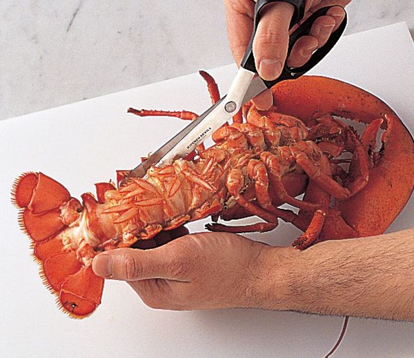 Removing lobster tail meat from its shell