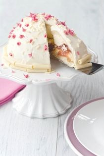 Rhubarb & custard bombe
