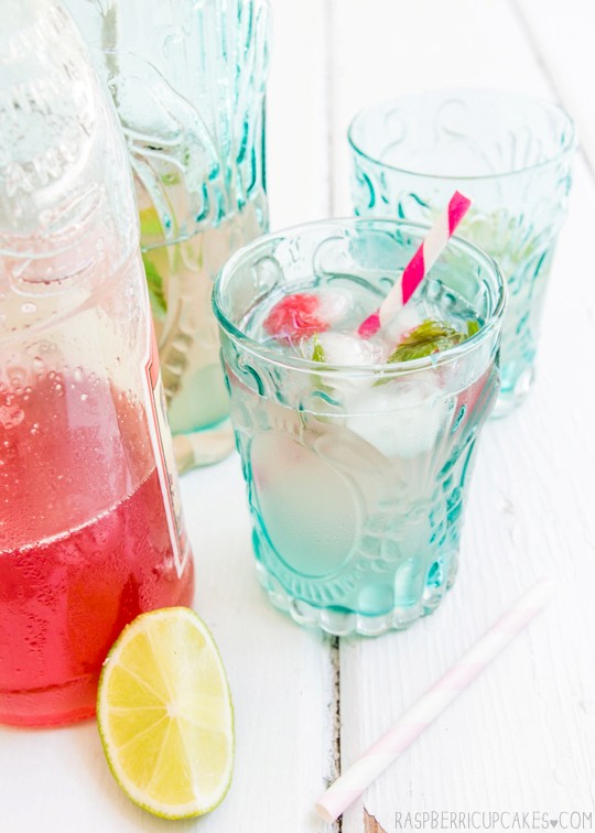 Rhubarb & ginger cordial with mint & raspberry ice