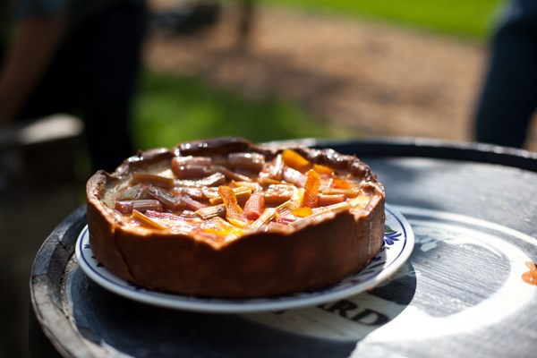 Rhubarb and custard pie
