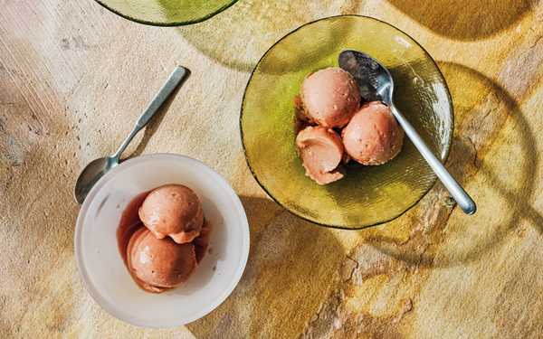 Rhubarb and gin sorbet