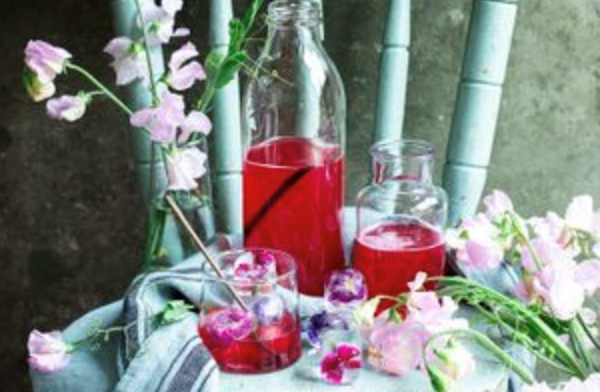Rhubarb and rose cordial with floral ice cubes