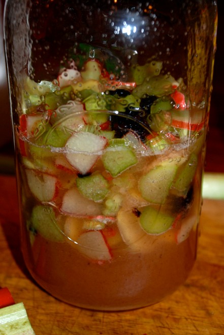 Rhubarb blackberry ginger shrub