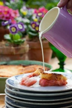 Rhubarb Charlotte