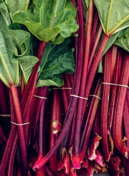 Rhubarb chia jam
