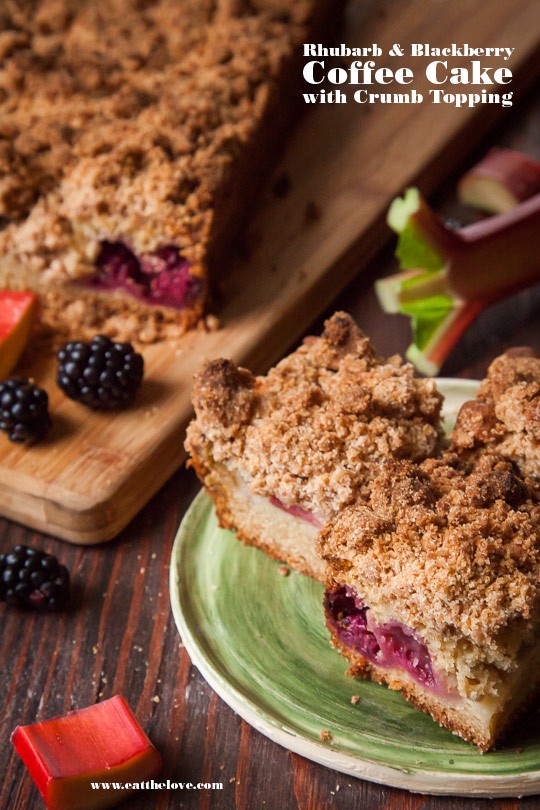 Rhubarb coffee cake with blackberries and big crumb topping