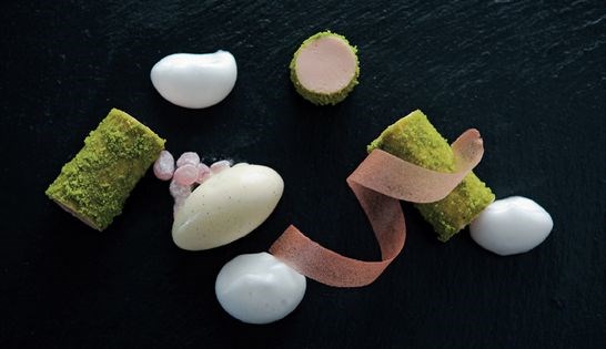 Rhubarb custard and tuile and vanilla bean ice cream