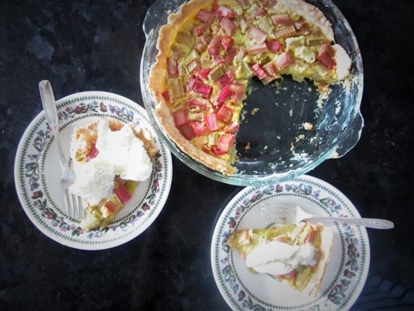 Rhubarb custard pie