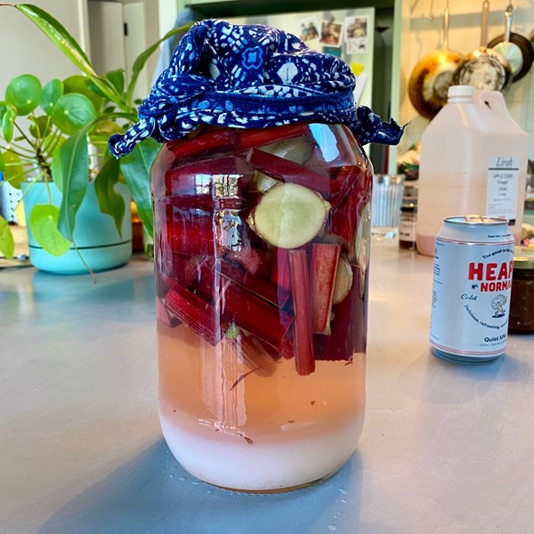 Rhubarb fizz