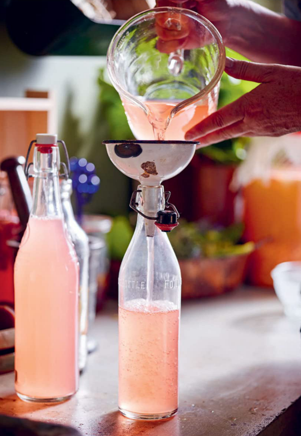 Rhubarb fizz
