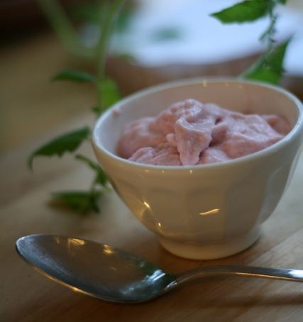 Rhubarb ice cream