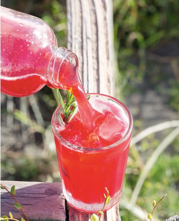 Rhubarb, raspberry & rosemary iced tea