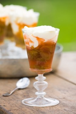 Rhubarb syllabub