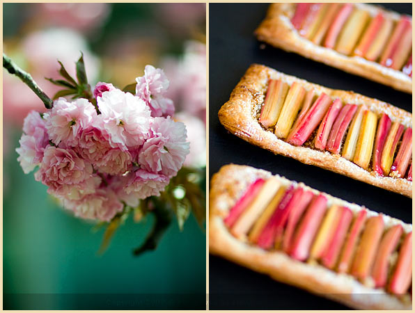 Rhubarb tartlets with ginger and vanilla (Tartelettes à la rhubarbe gingembrée et vanillée)