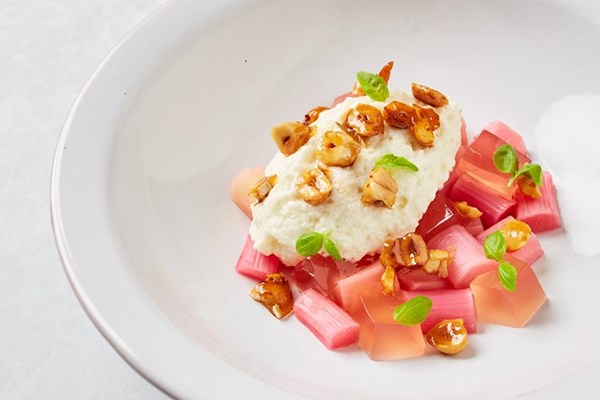 Rhubarb with cheesecake mousse and caramelised hazelnuts