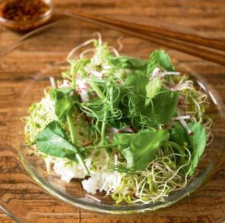 Rice topped with a medley of fresh sprouts (Saessak bibimbap)