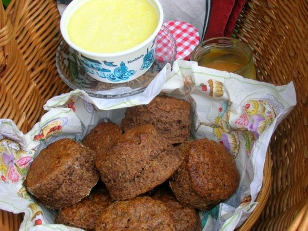 Rich chocolate scones