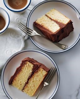 Rich vanilla cake with fudge frosting
