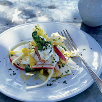 Ricotta and basil oil with fennel and radish salad