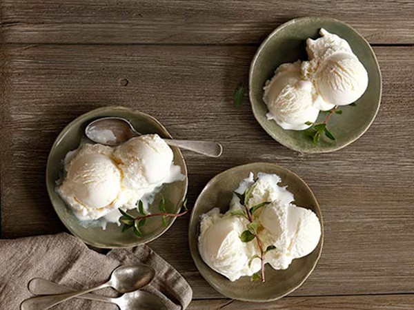 Ricotta sherbet