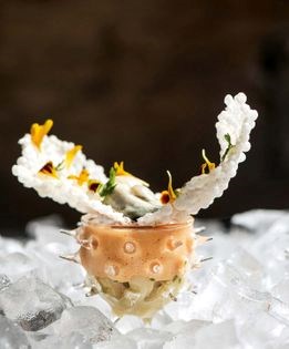 Riesling-braised scallops with uni espuma, tapioca crisp, Kumamoto oyster, and caviar