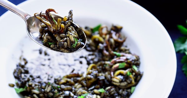 Risotto nero with squid