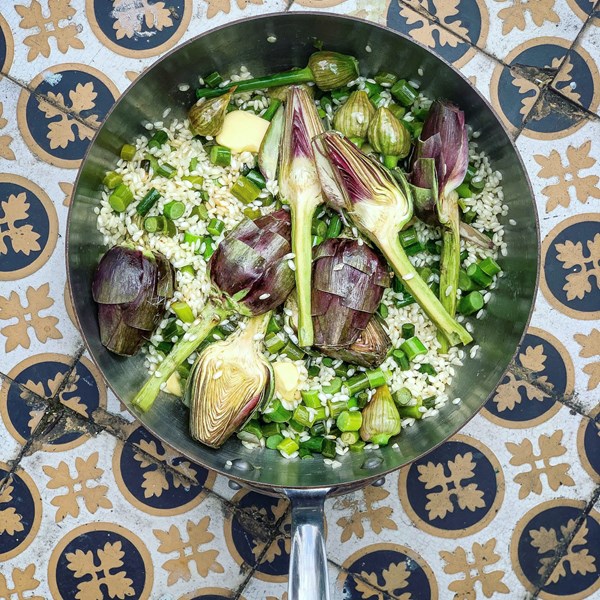 Risotto with garlic scapes, Mexican tarragon and artichokes