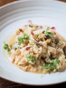 Risotto with Taleggio and wild carrot honey