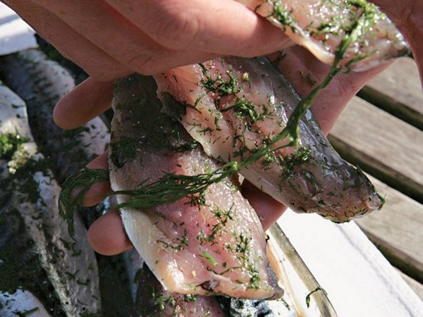 River Cottage's gravad max (mackerel gravlax) (Cook the Book)