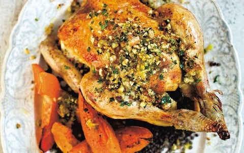 Roast chicken and pumpkin with black lentils and hazelnut picada