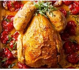 Roast chicken on a bed of tomatoes