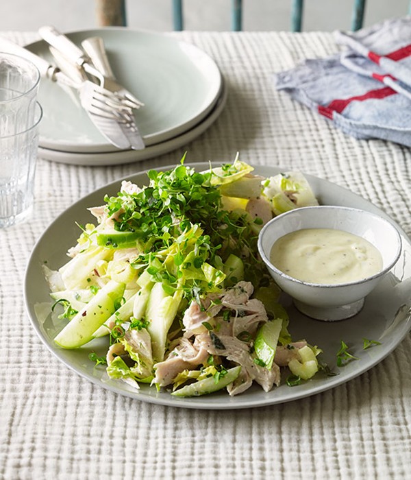 Roast chicken salad with cider, apple and witlof